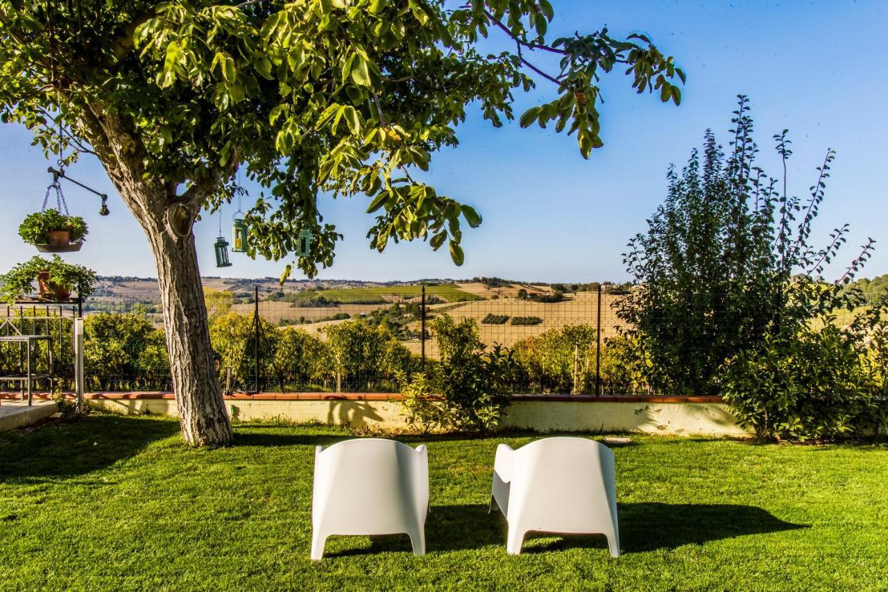 B&B Al Chicco D'Uva Morro dʼAlba Екстериор снимка