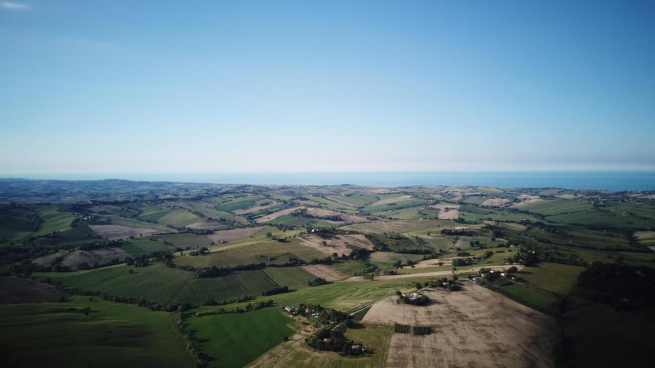 B&B Al Chicco D'Uva Morro dʼAlba Екстериор снимка