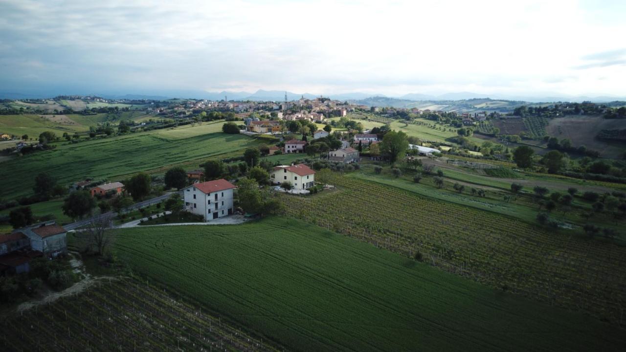 B&B Al Chicco D'Uva Morro dʼAlba Екстериор снимка