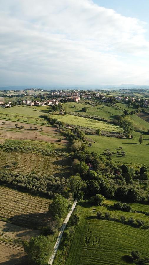 B&B Al Chicco D'Uva Morro dʼAlba Екстериор снимка